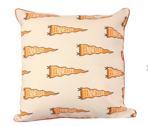 Tennessee Pennant Gingham Pillow